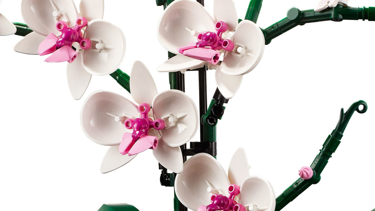 LEGO Icons 10311 Orchidee